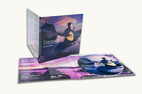 4 Panel Digipack Lite with CD Duplication