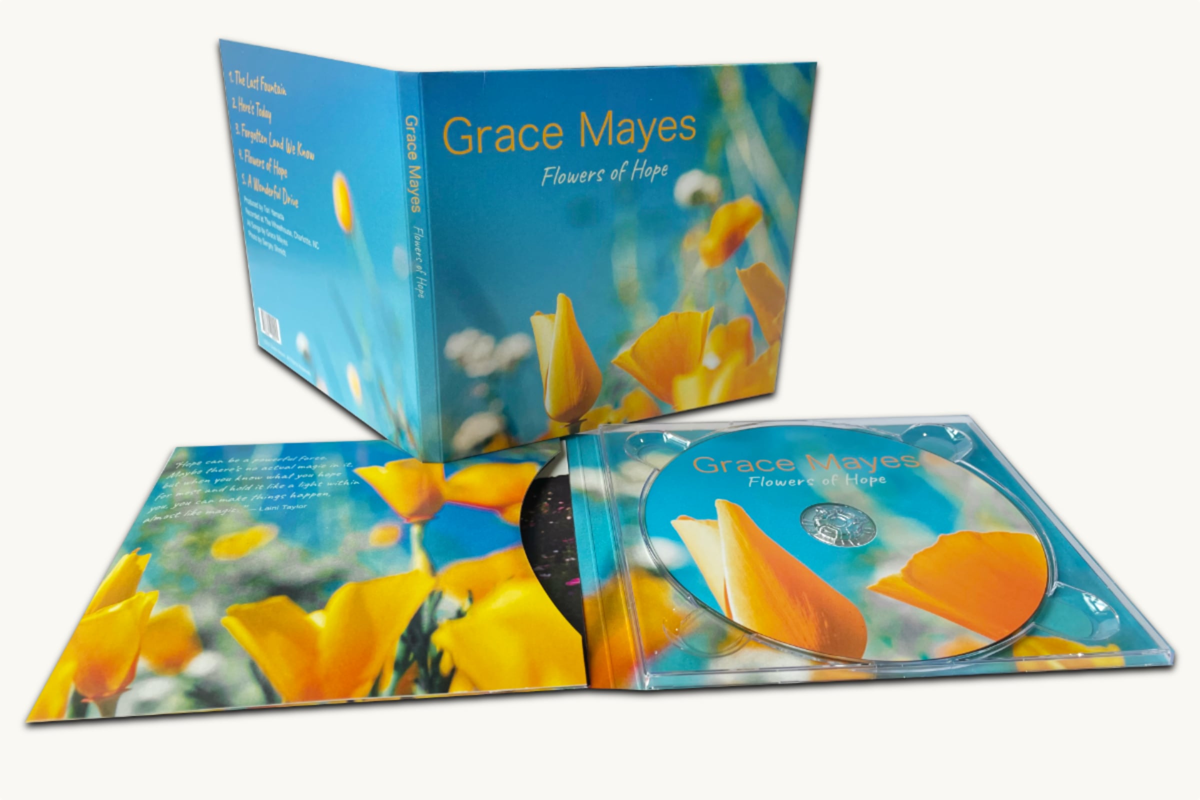 Digipack Lite™ with CDs | 4 Panel Digipack Lite™ | 6 Panel